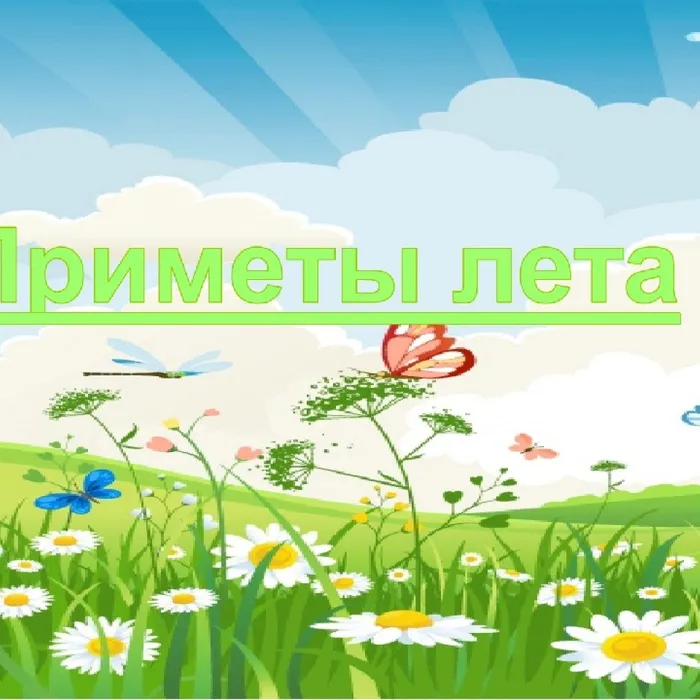 Интеллектуальная игра "Приметы лета"