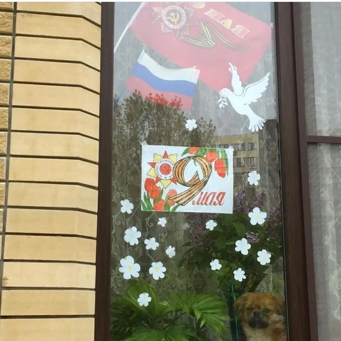 Акция "Окна Победы"